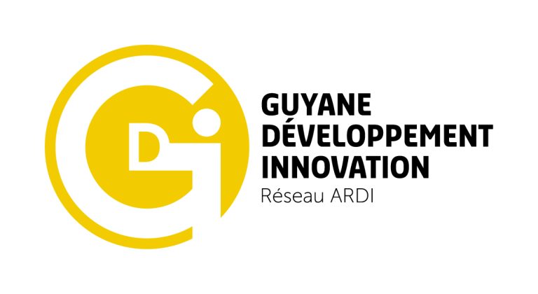 GDI, l’agence Régionale de développement et d’innovation change son identité visuelle !